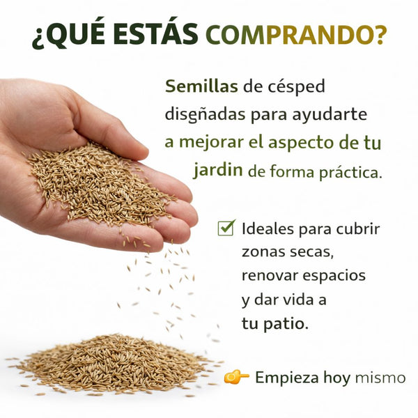 Semillas de Césped Premium Resellables
