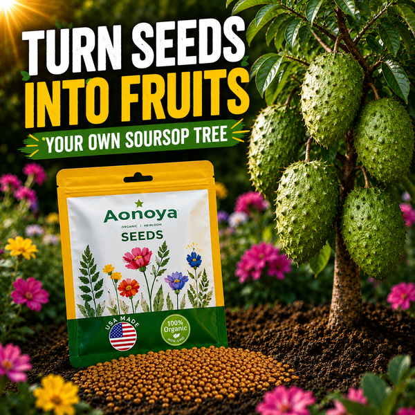 Soursop seeds