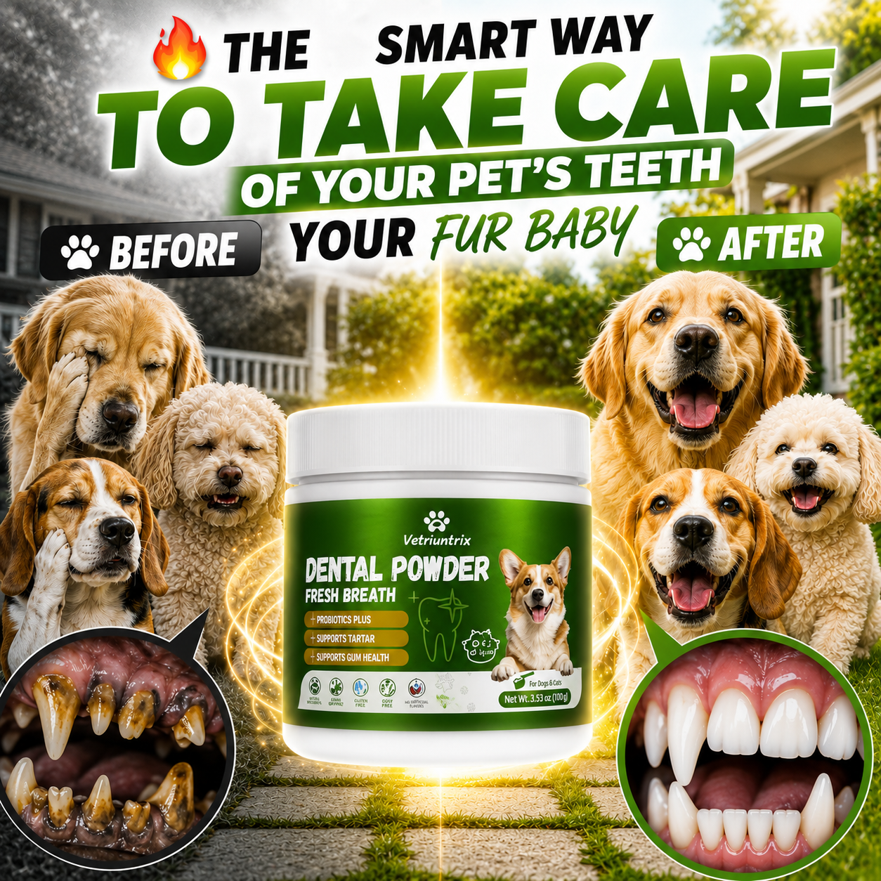 PREMIUM ORAL POWDER™
