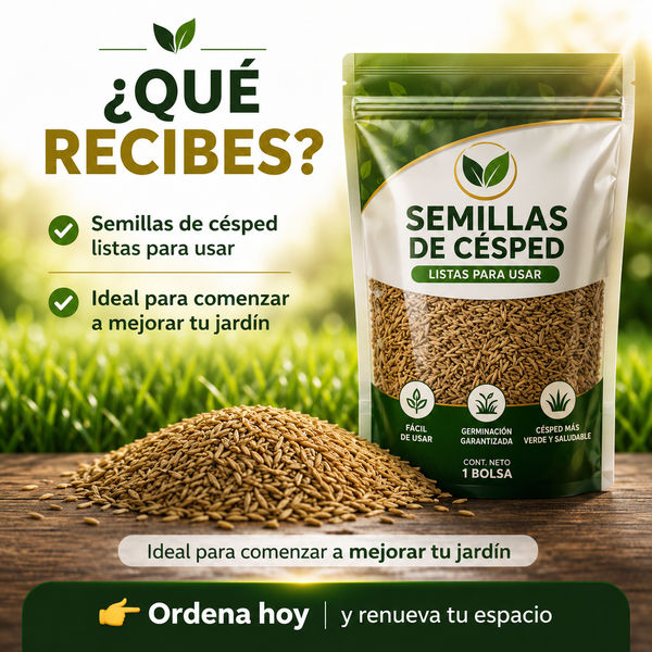 Semillas de Césped Premium